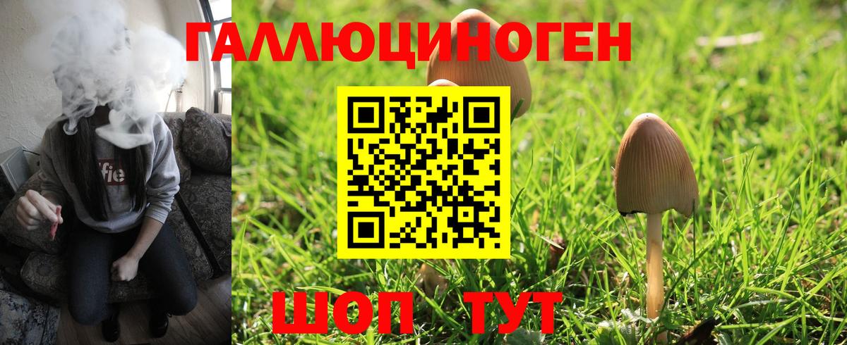 купить наркотики цена  Псилоцибиновые грибы MAGIC MUSHROOMS  Вход с VPN  Миасс 